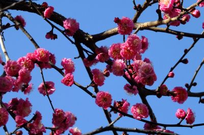 加賀原（京セラ）
