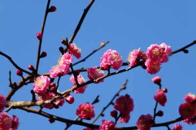 加賀原（京セラ）
