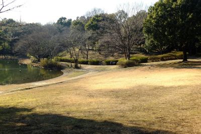 鴨池公園
