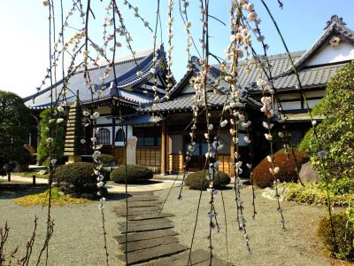 臨済宗円覚寺派　医王山　瑞雲寺
