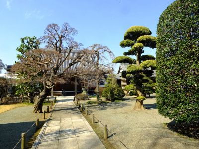 臨済宗円覚寺派　医王山　瑞雲寺
