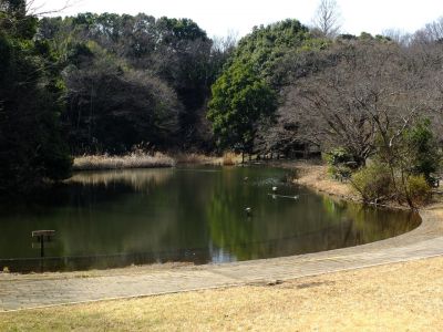 鴨池公園
