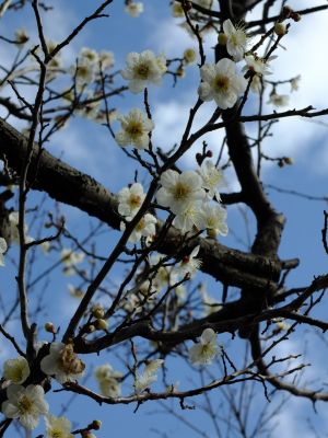 荏田近隣センター
