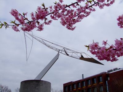茅ヶ崎公園（河津ざくら）
