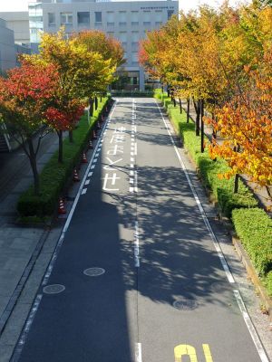 昭和大学北部病院周辺
