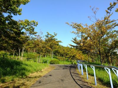 都筑中央公園
