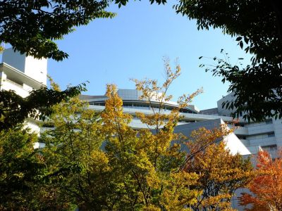 昭和大学北部病院
