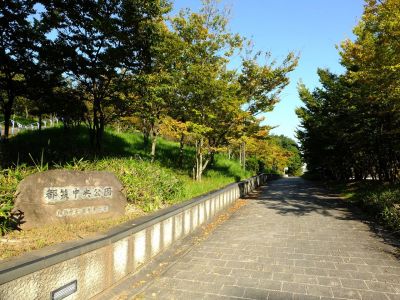都筑中央公園
