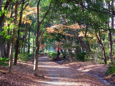 ささぶねの道（葛ヶ谷公園）
