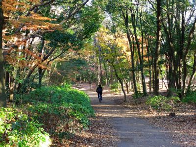 ささぶねの道（葛ヶ谷公園）
