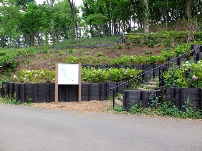 池辺市民の森南口
