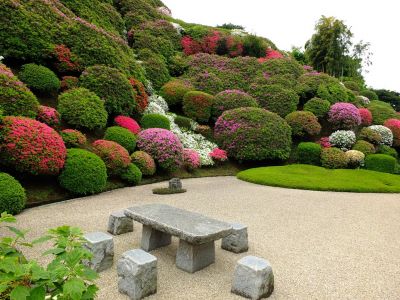 つつじ山（牧野さんの庭）
