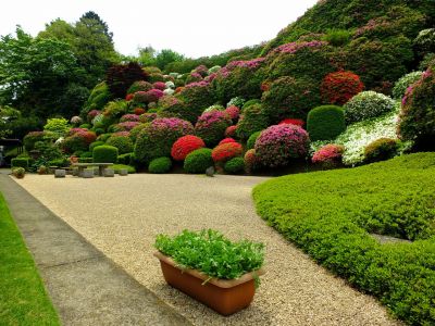 佐江戸つつじ庭園（牧野さん）
