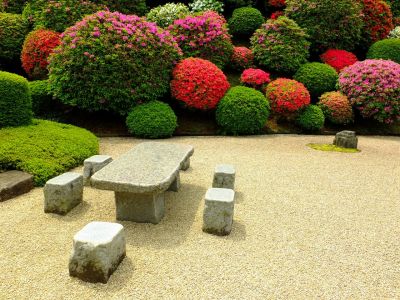 佐江戸つつじ庭園（牧野さん）
