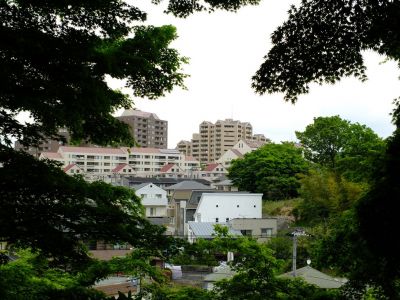 つつじ山（牧野さんの庭）
