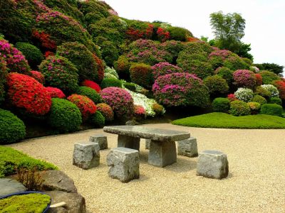 佐江戸つつじ庭園（牧野さん）
