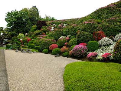 つつじ山（牧野さんの庭）

