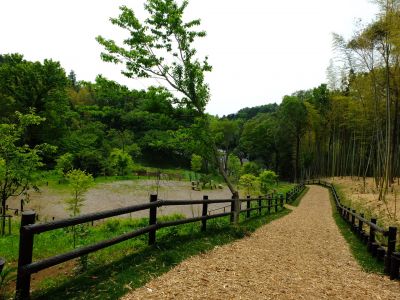 池辺市民の森
