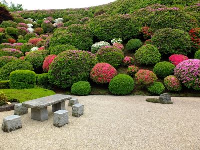 つつじ山（牧野さんの庭）
