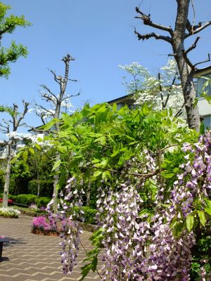 荏田近隣センター
