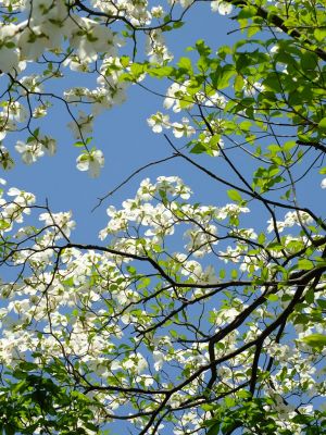 荏田近隣センター

