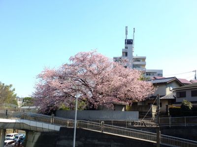 田園都市線江田駅前
