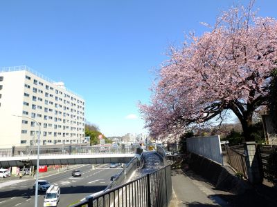 田園都市線江田駅前
