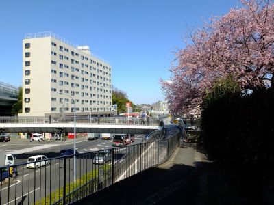 田園都市線江田駅前
