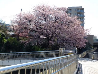田園都市線江田駅前
