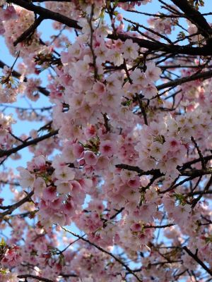 田園都市線江田駅前
