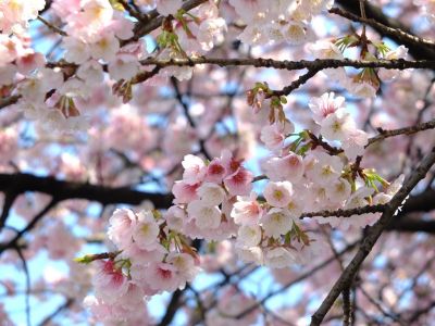 田園都市線江田駅前
