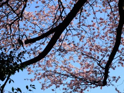 田園都市線江田駅前
