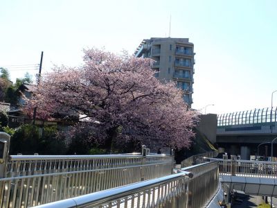 田園都市線江田駅前
