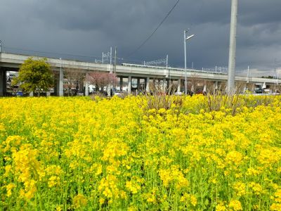 川和町駅前
