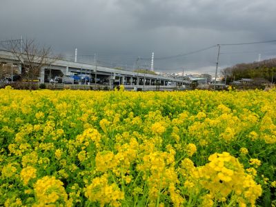 川和町駅前
