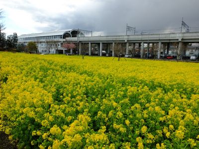 川和町駅前

