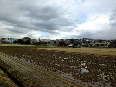 東名青葉インター付近
