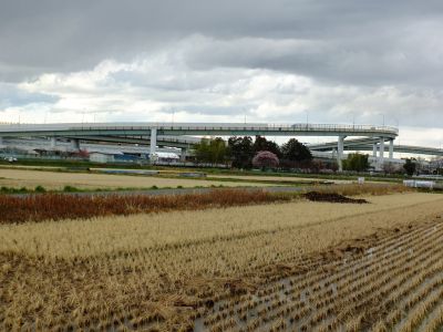 東名青葉インター付近
