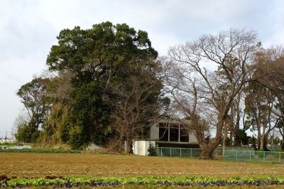 杉山神社（大熊）周辺
