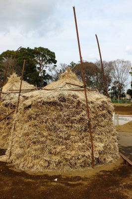 杉山神社（大熊）周辺
