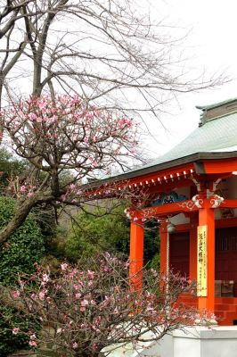 淡島神社（折本）
