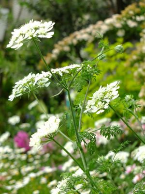 荏田近隣センター
