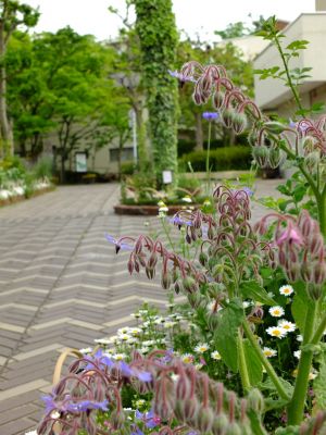 荏田近隣センター
