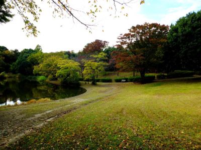 鴨池公園
