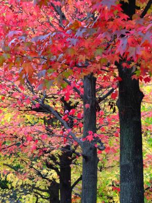 都筑ふれあいの丘（Aoki横）
