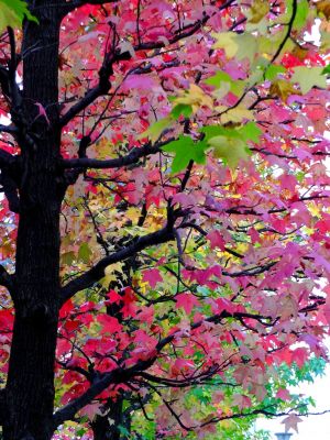 都筑ふれあいの丘（Aoki横）
