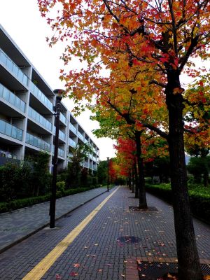 都筑ふれあいの丘（Aoki横）
