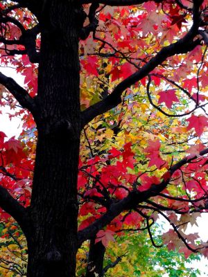 都筑ふれあいの丘（Aoki横）
