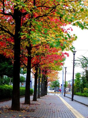 都筑ふれあいの丘（Aoki横）
