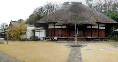 新羽　西方寺　蝋梅（ロウバイ）
